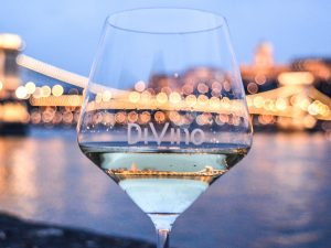 Dégustation de vin et tapas local, l'apéro parfait pour votre soirée d'enterrement de vie garçon avec EVG d'Enfer Budapest